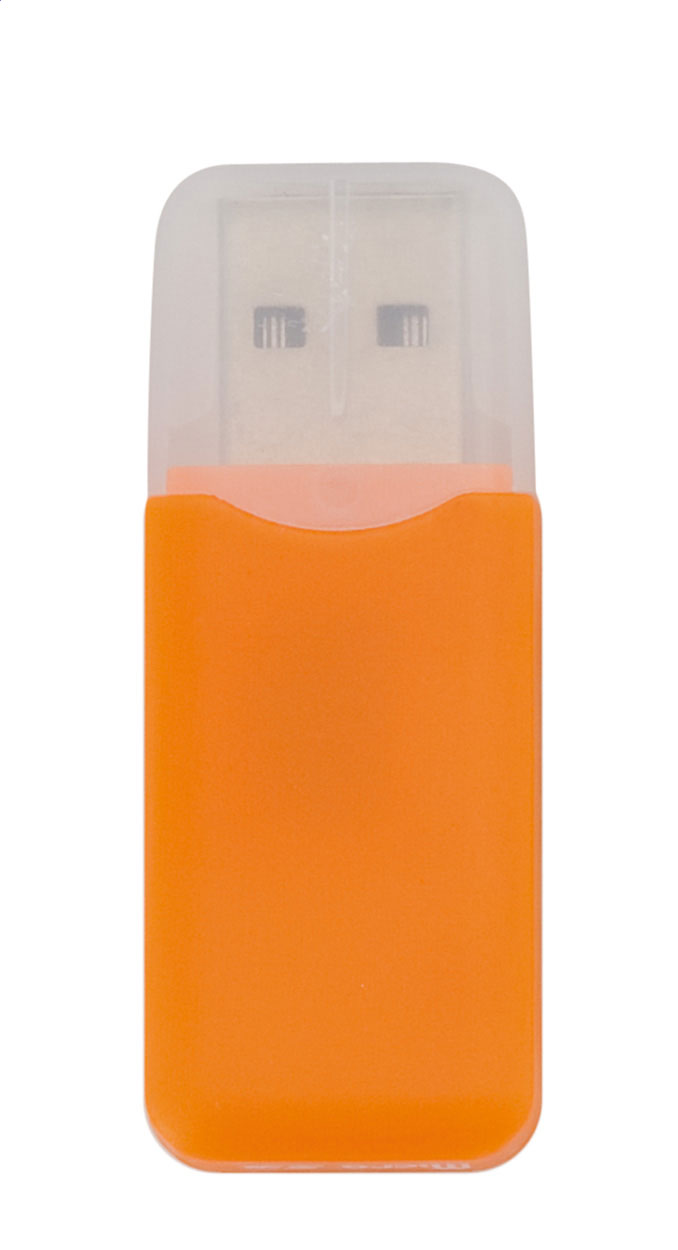 lettore di memory card