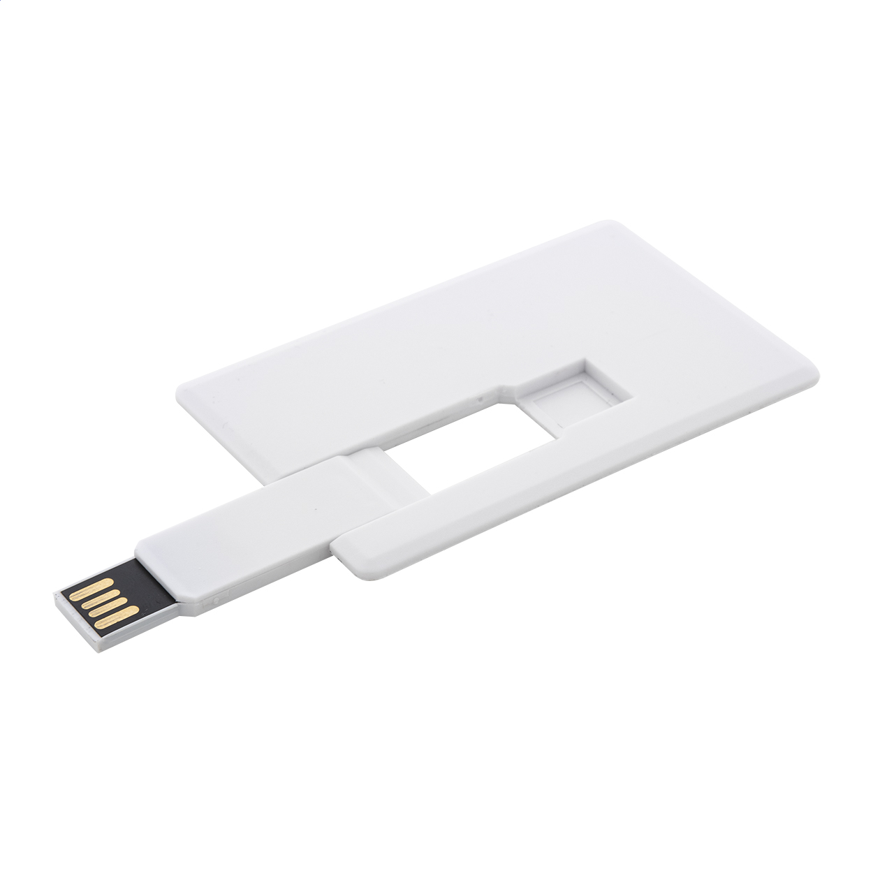 Chiavetta USB in RABS