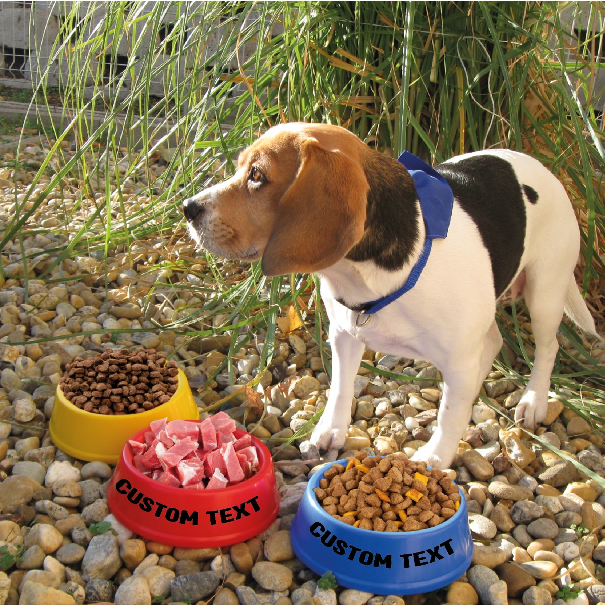 Ciotola per Cani PUPPY in Plastica Personalizzata